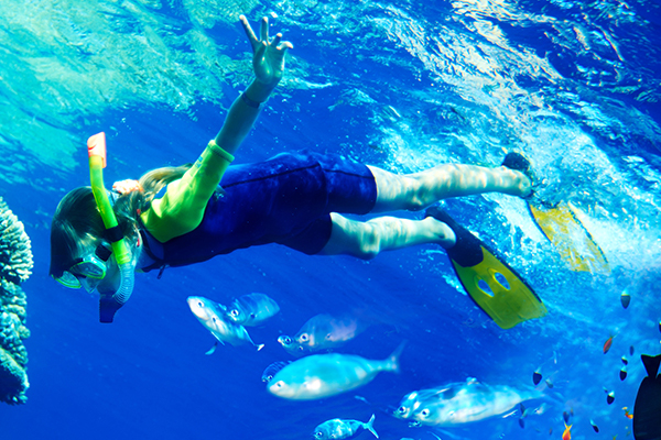 Discover a new dimension to Ibiza underwater, new wildlife and an adventure you will never forget